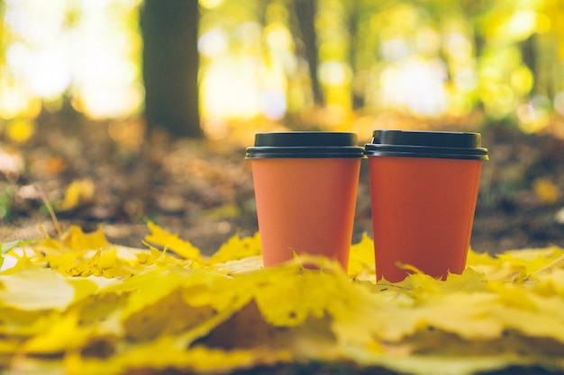 Tazze da asporto di caffè in un fogliame autunnale. Caffè all&#39;aperto