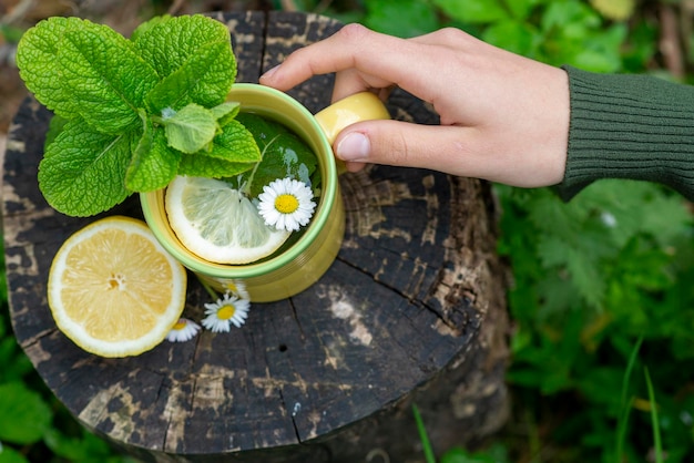 Tè con menta, limone e camomilla in natura