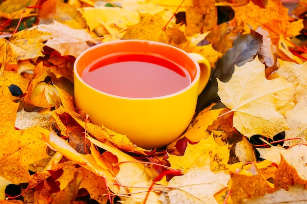 Tè e foglie d'autunno