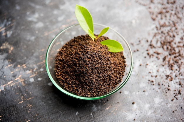 Tè nero in polvere o polvere secca con o senza foglia verde e servito caldo chai in una tazza