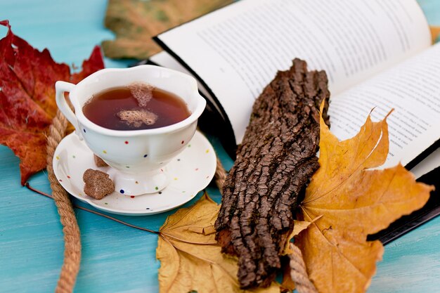 Tè profumato Cake Shu L'atmosfera di intimità