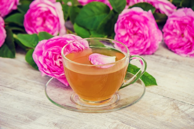 Tè, rosa tea, rosa, messa a fuoco selettiva. natura.