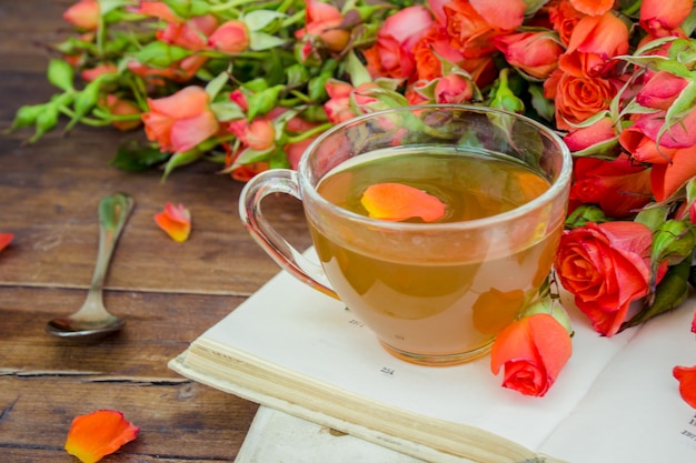 Tè, rosa tea, rosa, messa a fuoco selettiva. natura.