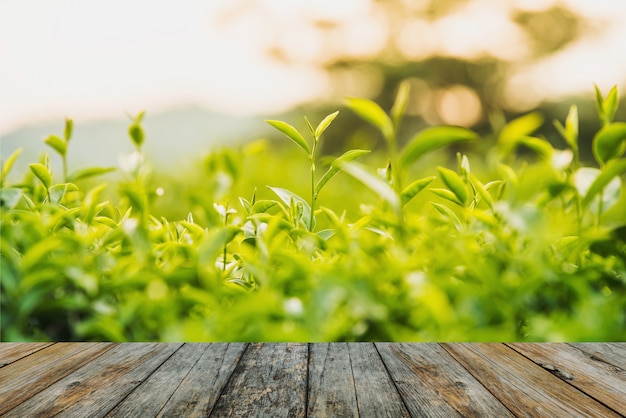 Tè verde con pavimento in legno e foglie fresche