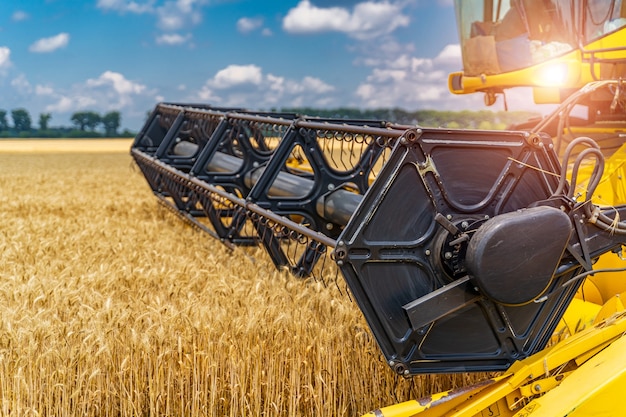 Tecniche pesanti nel campo di grano. Mietitrebbiatrice gialla che raccoglie grano secco. Processo di osservazione dell'agricoltore. Messa a fuoco selettiva.