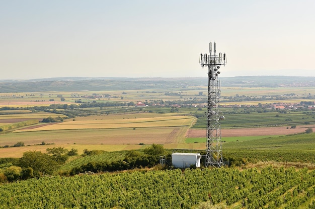 Tecnologia senza fili delle antenne TV dell'albero della torre di telecomunicazione