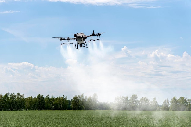 Tecnologie moderne in agricoltura Un drone industriale vola su un campo verde e spruzza pesticidi utili per aumentare la produttività e distrugge gli insetti nocivi per aumentare la produttività