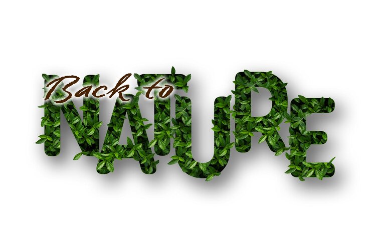 Photo teks back to nature (kembali ke alam) terbuat dari rumput dan beberapa efek