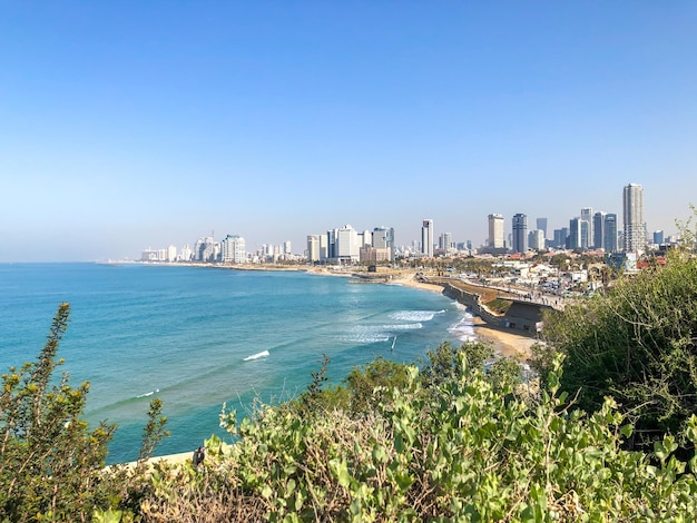 TEL AVIV ISRAELE 21 GENNAIO 2019 Vista di Tel Aviv dal parco Yaffa su una collina