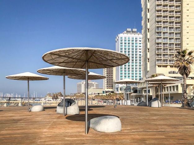 TEL AVIV ISRAELE 23 GENNAIO 2019 Lungomare pubblico con alcuni dei suoi hotel