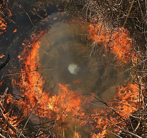 telaio del fuoco rotondo fuoco che brucia panorama macchia d'olio