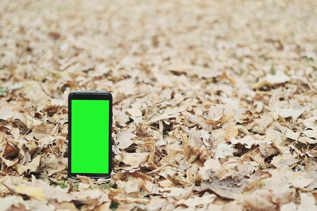 Telefono cellulare con schermo verde sullo sfondo delle foglie che cadono