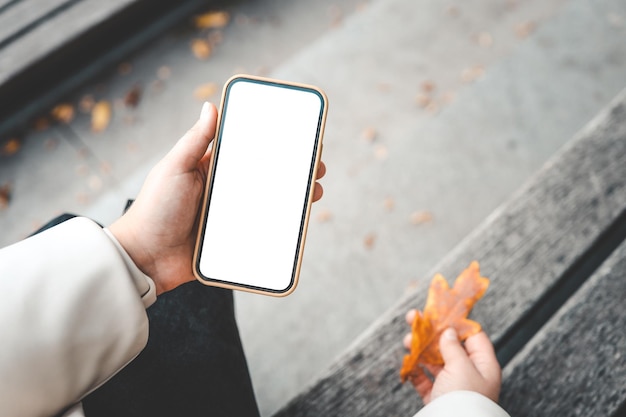 Telefono con uno schermo isolato in mano per strada nel parco autunnale