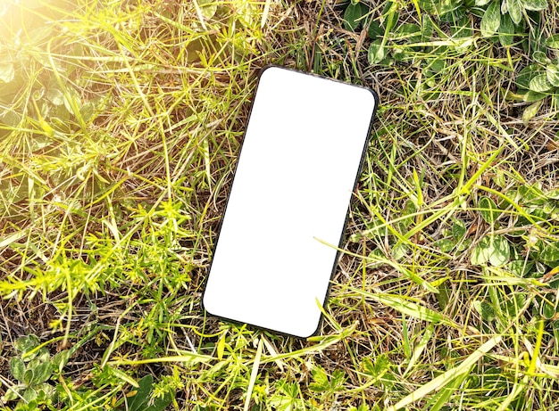 Telefono mockup sull'erba Concetto ecologico Smartphone al sole