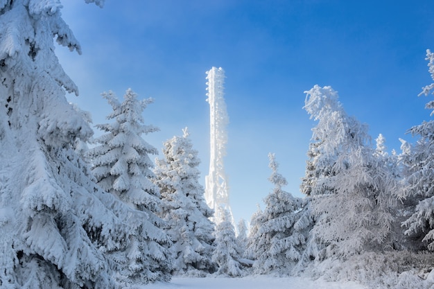 Televisione congelata o torre cellulare nella forte nevicata vicino al centro di sci. Torri di telecomunicazione con antenna parabolica e mobile contro il cielo blu in montagna invernale.