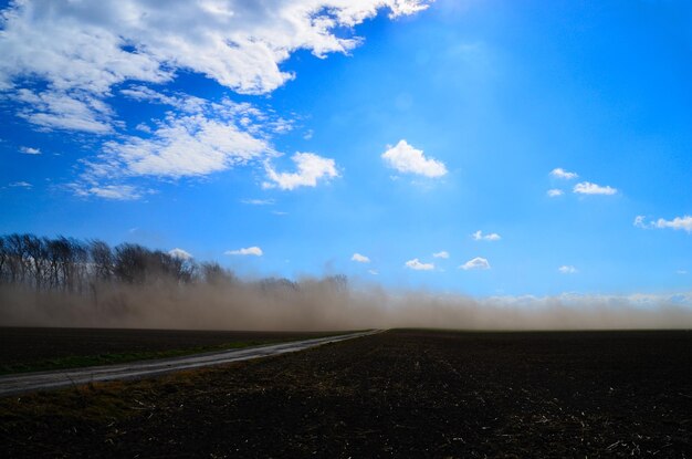 Tempesta di sabbia su un campo