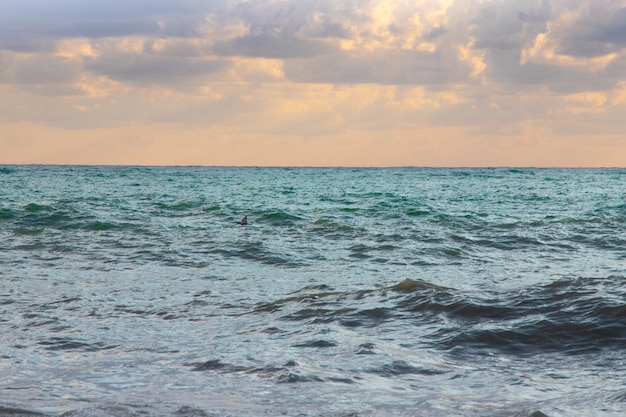 Tempesta sul mare nei raggi delle grandi onde del tramonto, spray.