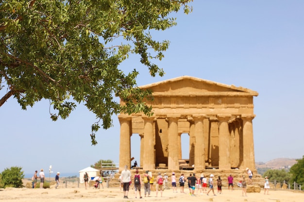 Tempio della Concordia e albero nella Valle dei Templi di Agrigento, Sicilia. Concentrati sull'albero.