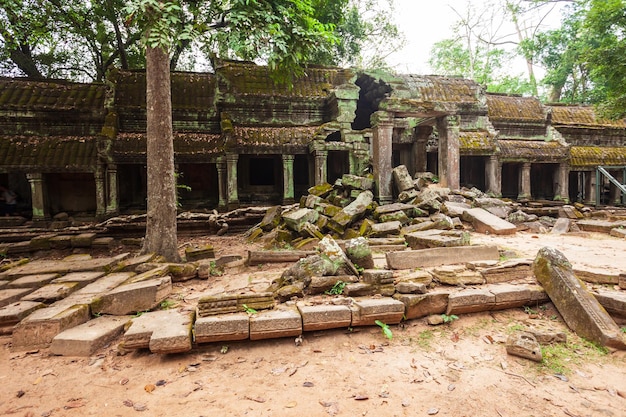 Tempio di Angkor Wat Siem Reap