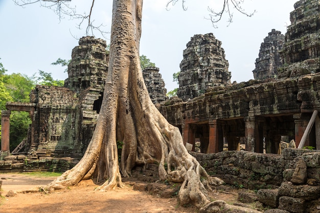 Tempio di Banteay Kdei a Angkor Wat, in Cambogia