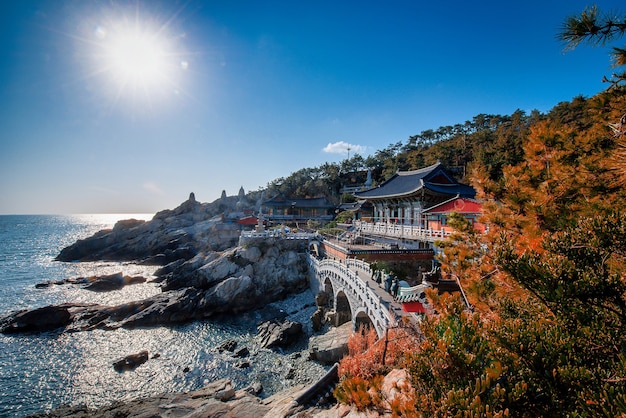 Tempio di Haedong Yonggungsa durante il giorno a Busan, Corea del Sud.