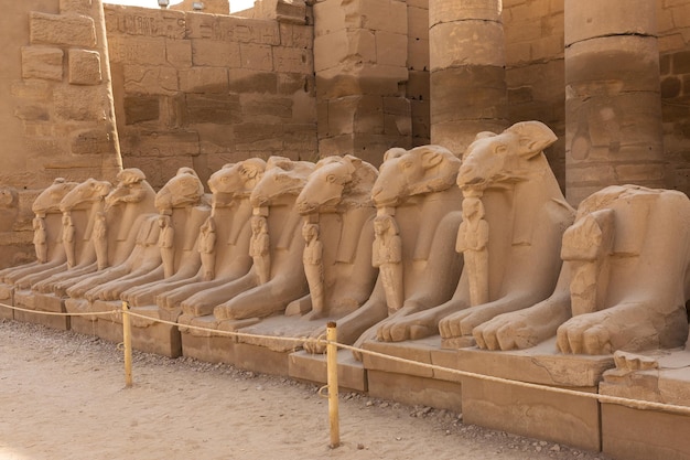 Tempio di Karnak Sculture colossali dell'antico Egitto nella valle del Nilo a Luxor