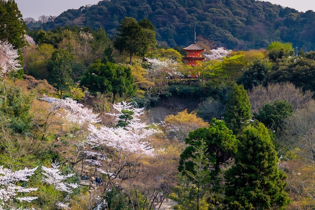 Tempio di Kyoto