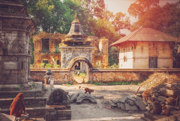 Tempio di Pashupatinath