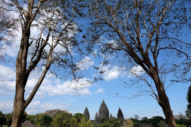 Tempio di Prambanan con il fondo del cielo blu e gli alberi come priorità alta, un tempio di Hindhu a Yogyakarta, Indonesia.