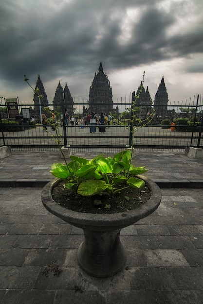 tempio di prambanan