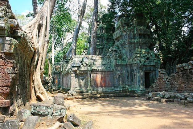 Tempio di Ta Prohm a Siem Reap