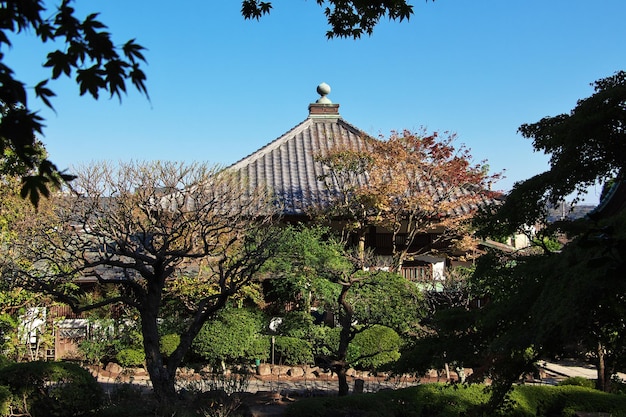 Tempio Hase-dera a Kamakura, in Giappone