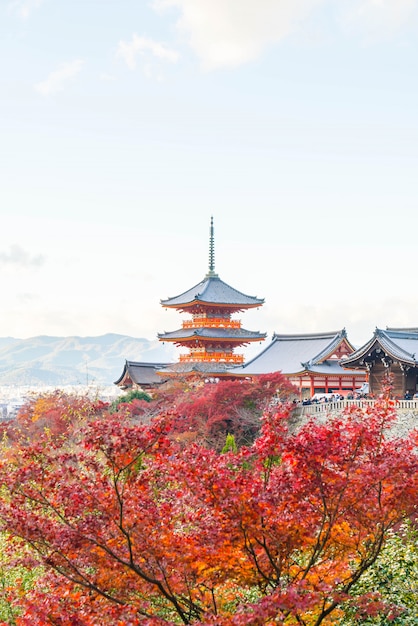 Tempio Kiyomizu o Kiyomizu-dera nella stagione dell&#39;autunno a Kyoto.