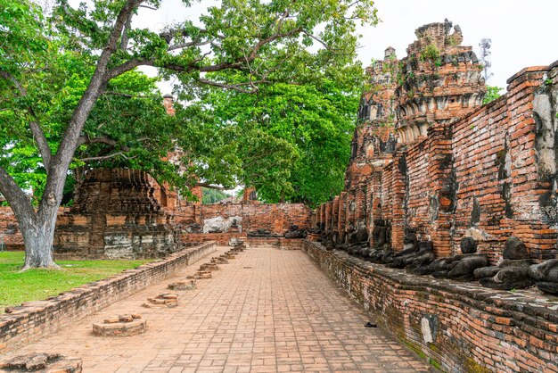 Tempio Wat Mahathat nel distretto del Parco storico di Sukhothai, un sito Patrimonio dell'Umanità dell'UNESCO ad Ayutthaya, in Thailandia