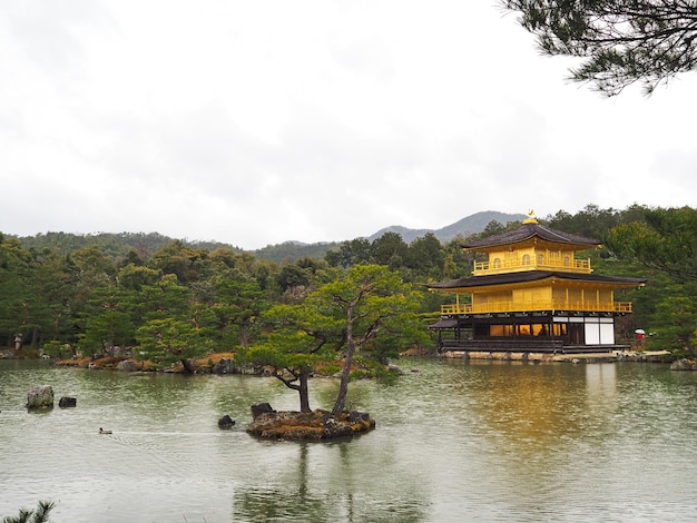 Templi d'oro giapponesi