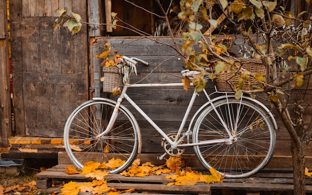 Tempo d'autunno. Bicicletta vintage con fiori colorati in cesto appoggiata sulla parete di legno della vecchia casa di campagna atmosferica durante la stagione autunnale, borsa a tracolla con raccolto autunnale appeso alla porta