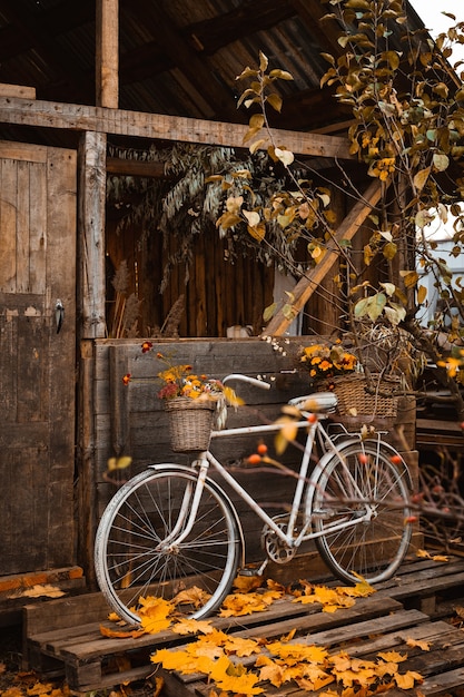 Tempo d'autunno. Bicicletta vintage con fiori colorati in cesto appoggiata sulla parete di legno della vecchia casa di campagna atmosferica durante la stagione autunnale, borsa a tracolla con raccolto autunnale appeso alla porta