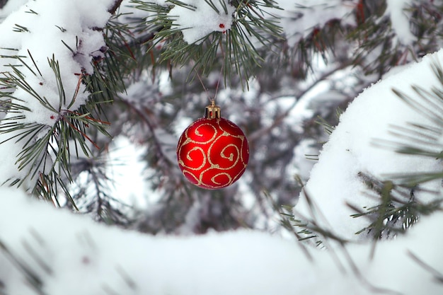 Tempo di vacanze invernali una palla di Natale rossa appesa a un ramo di un albero di Natale coperto di neve primo piano