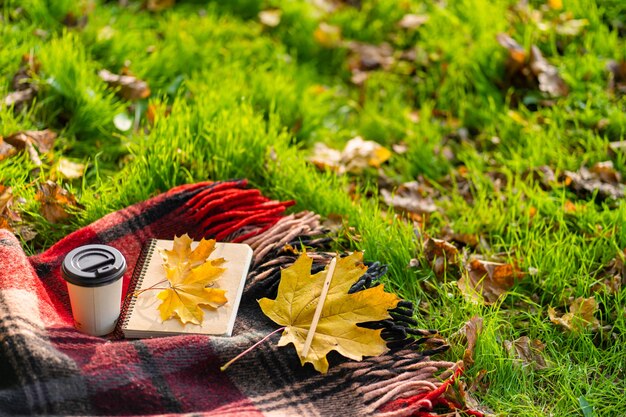 Tempo libero con una coperta calda e una tazza di caffè in un parco autunnale. Umore e stato d'animo autunnale.