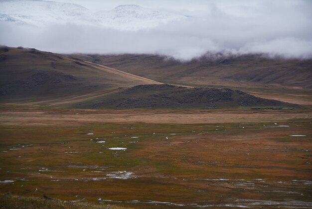 Tempo nuvoloso freddo nella zona della steppa. L'altopiano Ukok di Altai. Favolosi paesaggi freddi. chiunque intorno