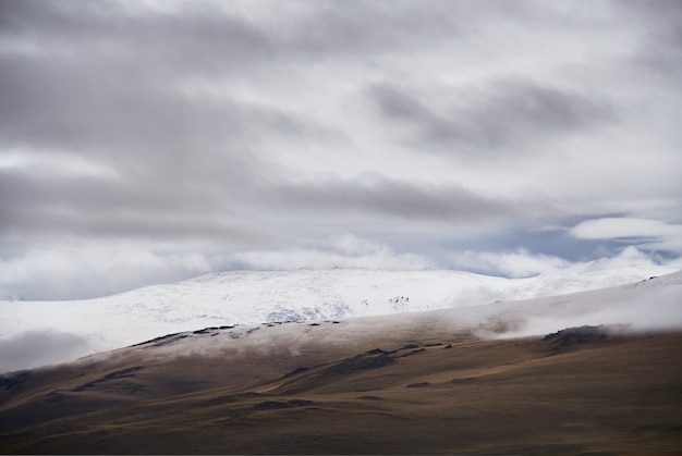 Tempo nuvoloso freddo nella zona della steppa. L'altopiano Ukok di Altai. Favolosi paesaggi freddi. chiunque intorno