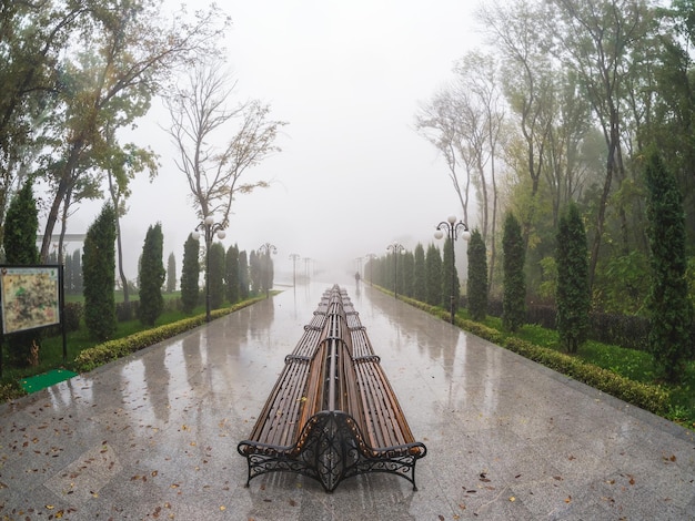 Tempo piovoso umido in un parco moderno Le panchine sono disposte in fila Bellissimo terrapieno umido e nebbioso Nebbioso paesaggio autunnale piovoso con parco a Zheleznovodsk Russia