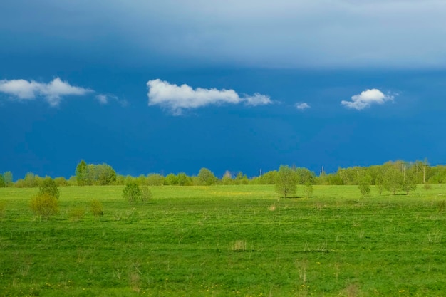 Temporale e prato verde grigio scuro cielo lunatico prima della tempesta sul campo di erba paesaggio rurale tempestose nuvole drammatiche al giorno d'estate sfondo pacifico e tranquillo bellezza nella natura