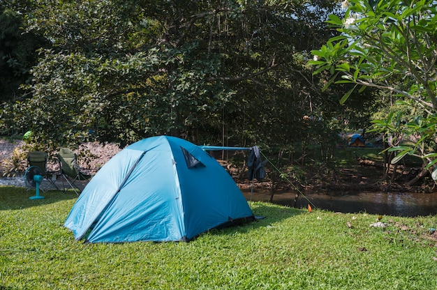 Tenda blu che si accampa sul prato inglese nella foresta pluviale tropicale