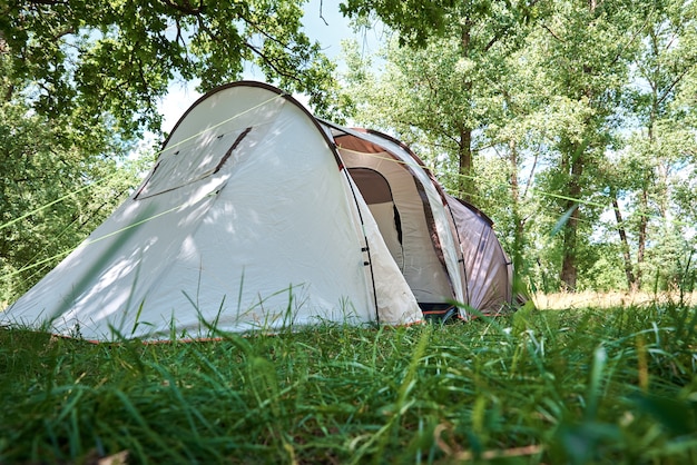 Tenda Campimg in pineta nel giorno d'estate.