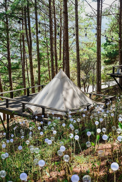 Tenda da campeggio bianca nella pineta di Da Lat vicino a torce elettriche