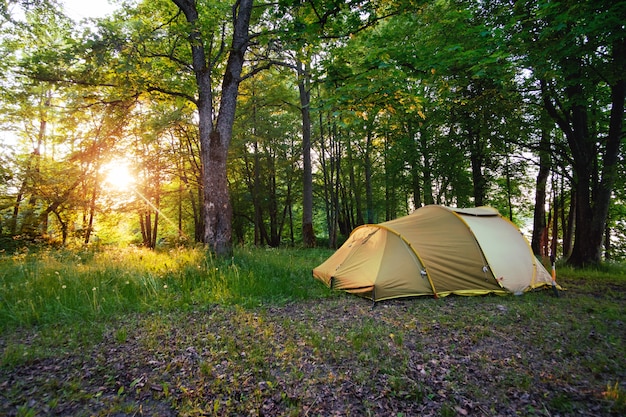 Tenda da campeggio nella foresta alla luce dell'alba