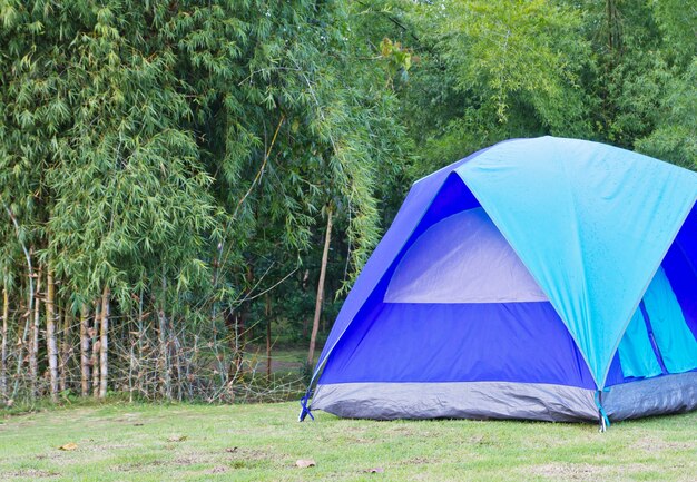 Tenda da campeggio su erba verde