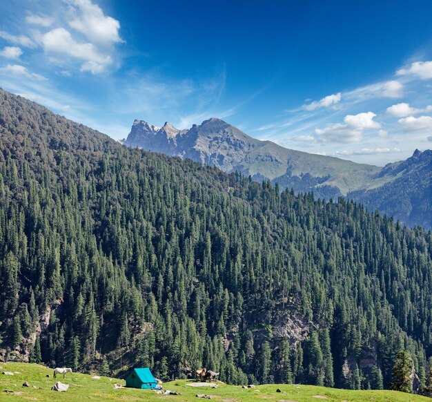 Tenda da campo in montagna