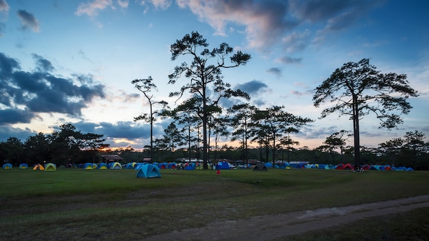 Tenda nel parco nazionale.